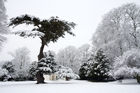 Snow in London