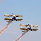 Utterly Butterly Wingwalkers 