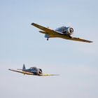 AT-16 Harvard IIB following a T6 Harvard