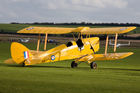 Tiger Moth