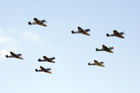Spitfires in formation