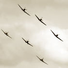 Spitfires in formation