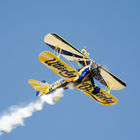 Utterly Butterly Wingwalkers 