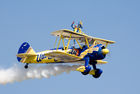 Utterly Butterly Wingwalkers 