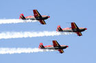 Royal Jordanian Falcons