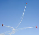 Royal Jordanian Falcons