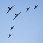 Falcons and Hawks (Cobham formation display team)