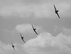 Hurricane and Spitfires in formation