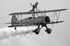 Wingwalkers (Team Guinot)