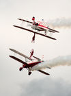 Wingwalkers (Team Guinot)