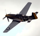 P-51D Mustang