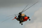 Belgian Sea King Mk48