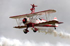 Wingwalkers (Team Guinot)