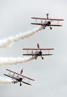 Wingwalkers (Team Guinot) with guest Blue Peter team member