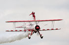 Wingwalkers (Team Guinot)