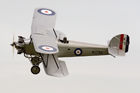 Hawker Tomtit