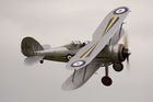 Gloster Gladiator