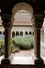 Lavendar and the Cloister at Elne cathedral