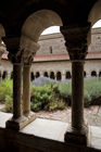 Lavendar and the Cloister at Elnet cathedral