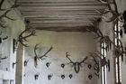 Antlers at Ch�teau de Chambord 