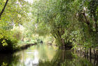 Les Hortillonnages canal trip