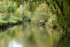 Les Hortillonnages canal trip