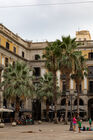 Placa Reial