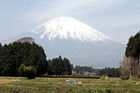 View of Mt Fuji from the Southern side