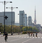 View of Imperial Palace gardens with Tokyo Tower in the background