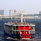 Ferry on Tokyo Bay with Fuji centre in the background