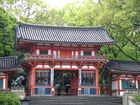 Yasaka Jinja shrine (Gion-san) in the rain