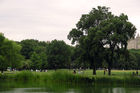 Central Park