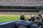 Sitting close to 3rd base at Yankee Stadium