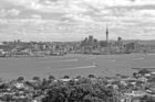 Auckland skyline viewed from Mt Victoria peak