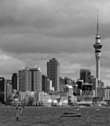 Auckland skyline viewed from Stanley Point