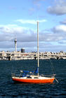 Auckland skyline viewed from Birkenhead Wharf (Hinemoa Park)