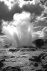 Steam geyser at Te Whakarewarewa
