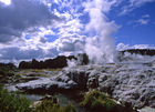 Steam geyser at Te Whakarewarewa
