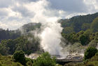 Steam geyser in Te Whakarewarewa