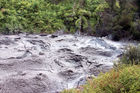 Ngamokaiakoko Mud Pool in Te Whakarewarewa