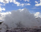 Steam geyser at Te Whakarewarewa