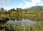 Lake Ngahewa (opposite Rainbow mountain)