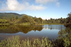 Lake Ngahewa (opposite Rainbow mountain)