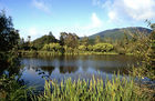 Lake Ngahewa (opposite Rainbow mountain)