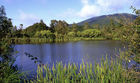 Lake Ngahewa (opposite Rainbow mountain)