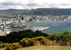 Lambton Harbour viewed from Mt Victoria Lookout
