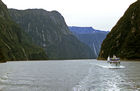View from boat on Milford Sound