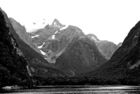 View from boat on Milford Sound