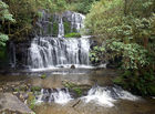 Purakanui Falls