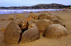 Moeraki Boulders